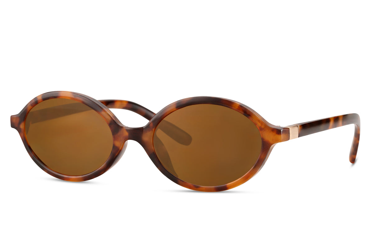 Sunglasses with tortoiseshell frame and brown lenses on a white background Tortoiseshell